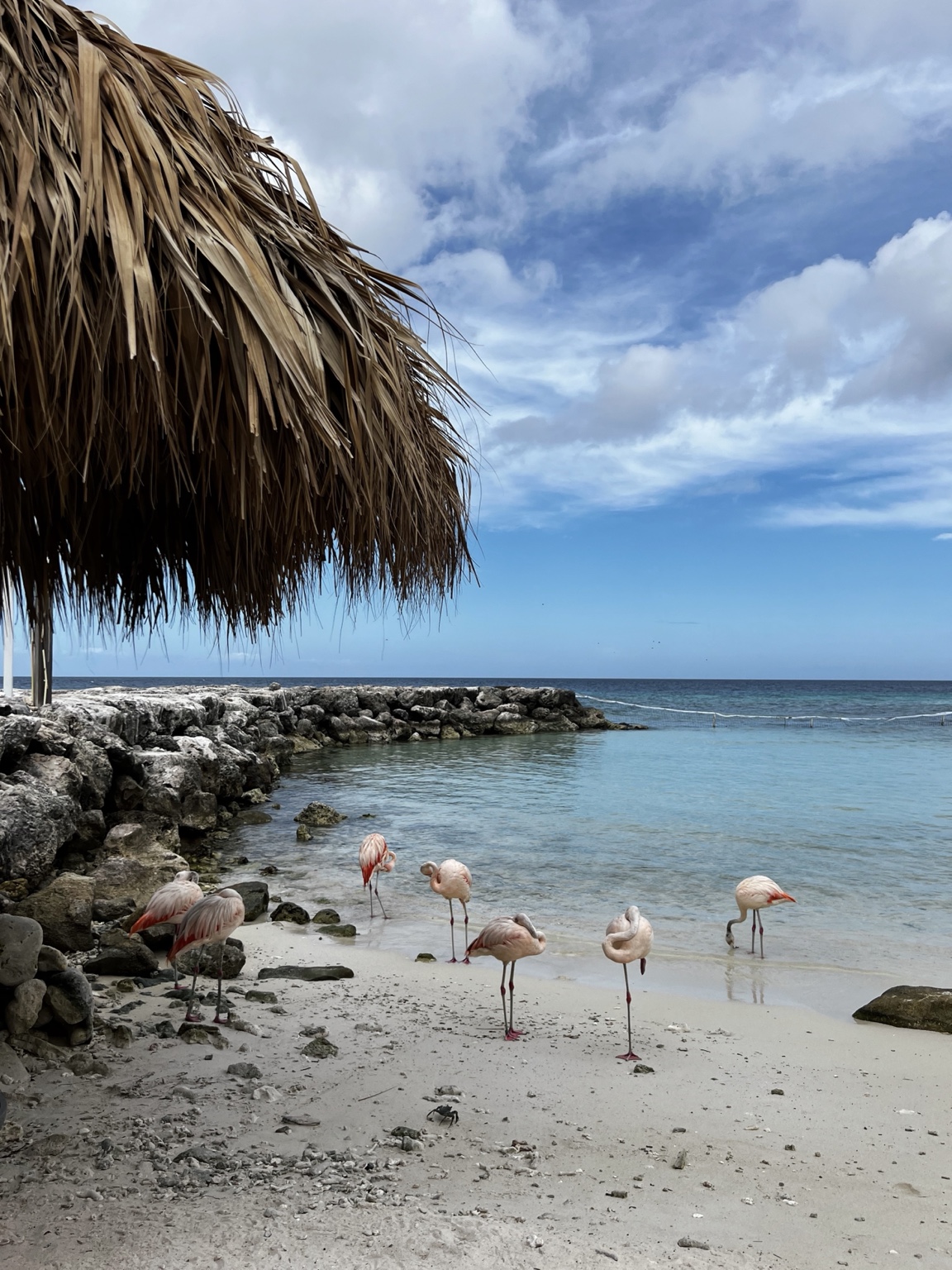 Caribbean photographed by Katena Travels